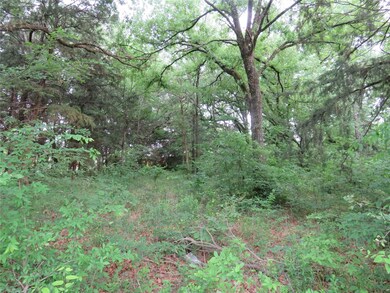 Tract 3 Recreational Road 3, Bonham, TX 75418 - photo 5