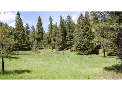 0 Forest Service Rd unit 22044352, Prairie City, OR 97869 - photo 3