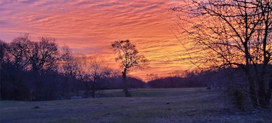 8601 Lowery Rd, Fort Worth, TX 76120 - photo 5