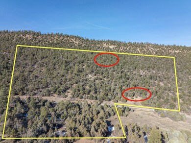 DJI_0828LinesHomeSite (2)