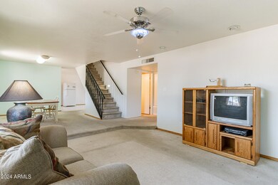 Downstairs Living Area
