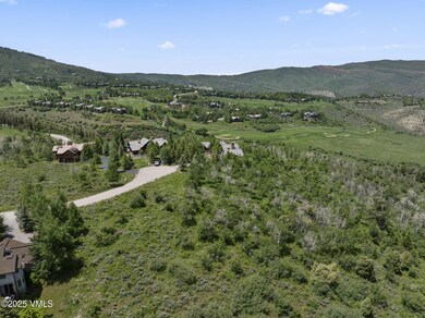 4-web-or-mls-DJI_20250606015616_0356_D