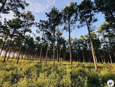 Tbd 3659, Queen City, TX 75572 - photo 6