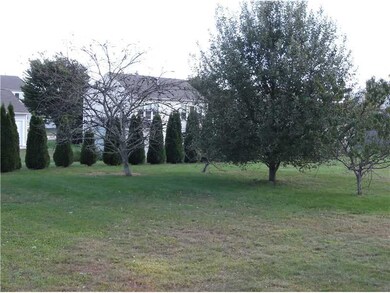Yard/Garden.