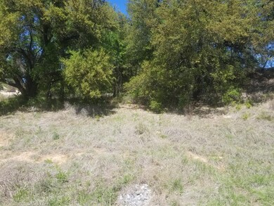 189 Sandpiper Dr, Weatherford, TX 76088 - photo 4