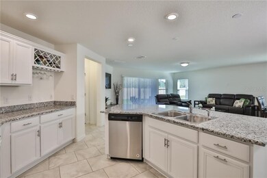14320 Romeo Blvd, Wimauma, FL 33598 - photo 6
