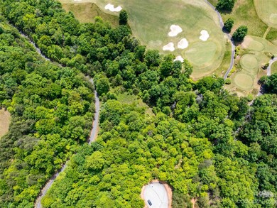 Lot 145 Wee Burn Cove, Mill Spring, NC 28756 - photo 4