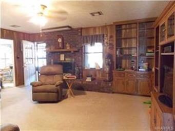 Shelves, fireplace, nice carpet make for a homey d