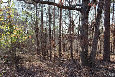 202 Mount Ash Ln, Poplar Bluff, MO 63901 - photo 3