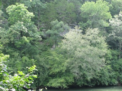 0 Dailey Loop unit RTC2677507, Linden, TN 37096 - photo 7