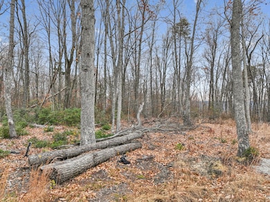 233 Crestview Ln, Sparta, TN 38583 - photo 5