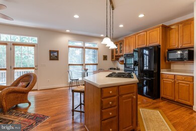 3081 Mckinnon Way, Oakton, VA 22124 - photo 7