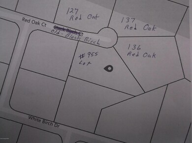 955 N Black Birch Dr, Tobyhanna Township, PA 18334 - photo 2