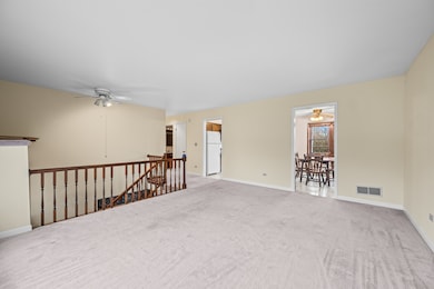 370 W Walnut St, Roselle, IL 60172 - photo 6