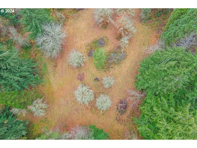 0 NW Plainview Rd, Portland, OR 97231 - photo 5