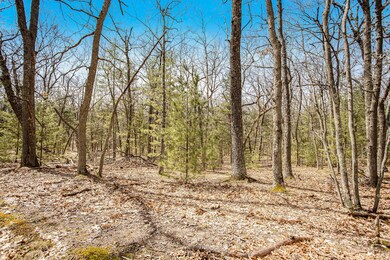 220419 1.00pm Dodge Vacant Land 60t Phot