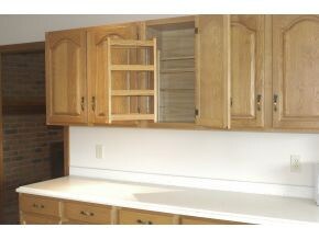 Cabinets with Pull Outs
