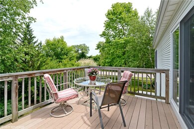 The deck