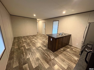 308 S Main St, Iuka, IL 62849 - photo 2