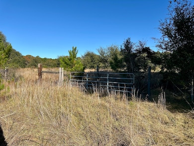 00 Virginia Rd, Dorchester, SC 29437 - photo 7