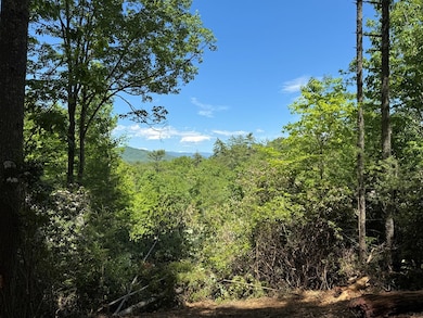 79 Forest Edge Dr, Murphy, NC 28906 - photo 4