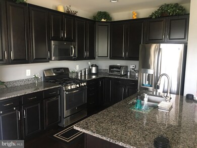 43330 Semolina Terrace, Chantilly, VA 20152 - photo 7