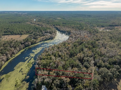 85 Saint Marks Rise Rd, Crawfordville, FL 32327 - photo 3