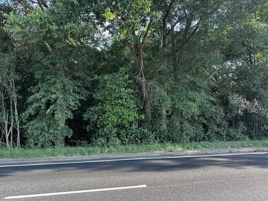 1.86 ac Highway 82 Cherry St, Ty Ty, GA 31795 - photo 6