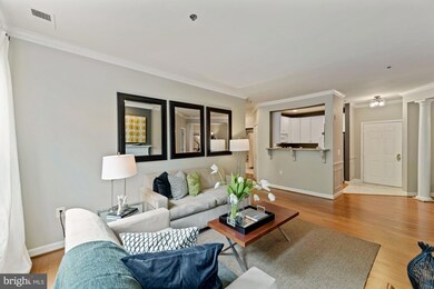 1320 N Wayne St unit 308, Arlington, VA 22201 - photo 6