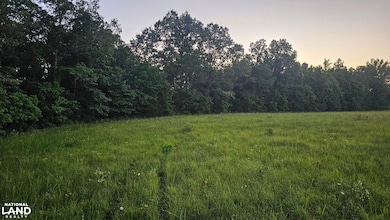 014 Tomahawk Slab Rd, Saint Joe, AR 72675 - photo 5