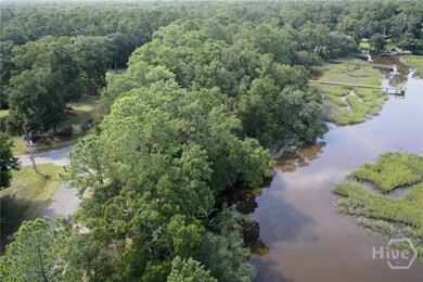 2061 Belle Island Rd, Richmond Hill, GA 31324 - photo 4