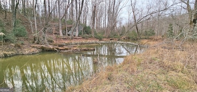 0 Gladston Rd, Mt.Airy, GA 30563 - photo 2