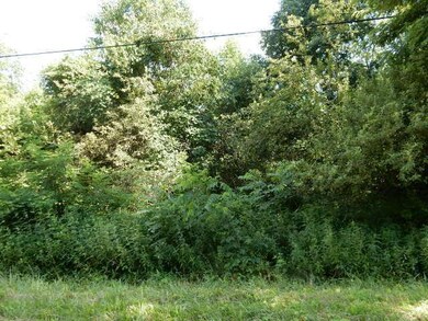 0 Grand Valley Dr unit 222026428, Howard, OH 45714 - photo 2