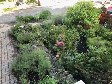 194 Westminster Ave, Arlington, MA 02474 - photo 4