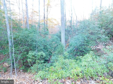 0 Reci Ln unit VAOR136038, Locust Grove, VA 22508 - photo 5