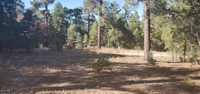 4260 W Falling Leaf Road