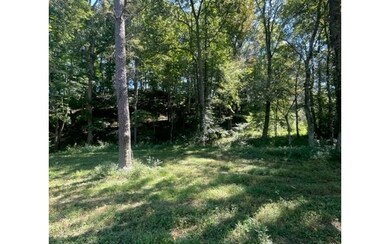 Additional View