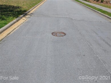 36.35 ACRES Half Moon Trail, Hendersonville, NC 28792 - photo 7