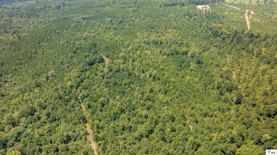 0 Guyton Swamp Rd, Calhoun, LA 71225 - photo 6