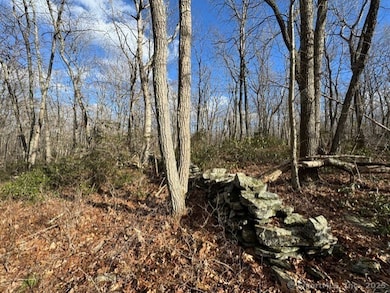 0 Mountain Laurel Dr, Middletown, CT 06457 - photo 6