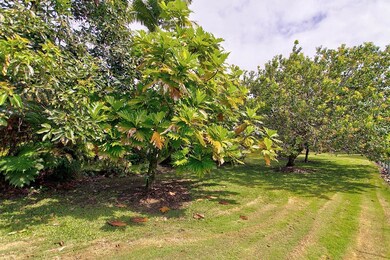 444 Kukuau St, Hilo, HI 96720 - photo 3