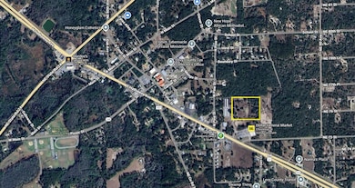 TBD Commerce St, Bronson, FL 32621 - photo 3