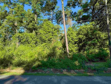 0 Old Bethel Rd, Crawfordville, FL 32327 - photo 3