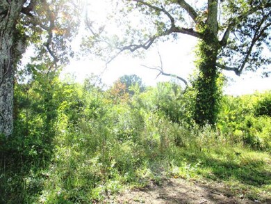 Cedar, pine and walnut trees are abundant. 