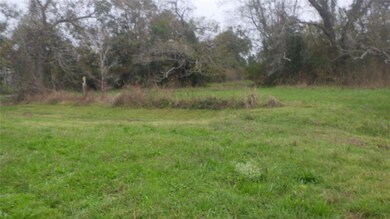 521 Fm 521, Brazoria, TX 77422 - photo 2