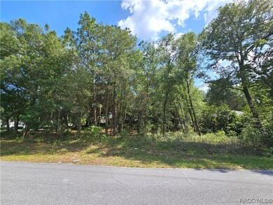 TBD SW 93RD PL, DUNNELLON, FL 34432