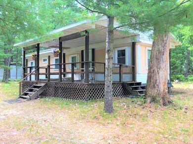 9093 S Lost Pine Ave, Baldwin, MI 49304 - photo 2