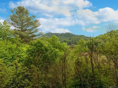 58 S Pinnacle Dr, Burnsville, NC 28714 - photo 4