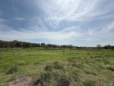 20.2 Acres Bluff Rd, New Union, AL 35956 - photo 2