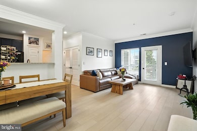 4850 Eisenhower Ave unit 302, Alexandria, VA 22304 - photo 2